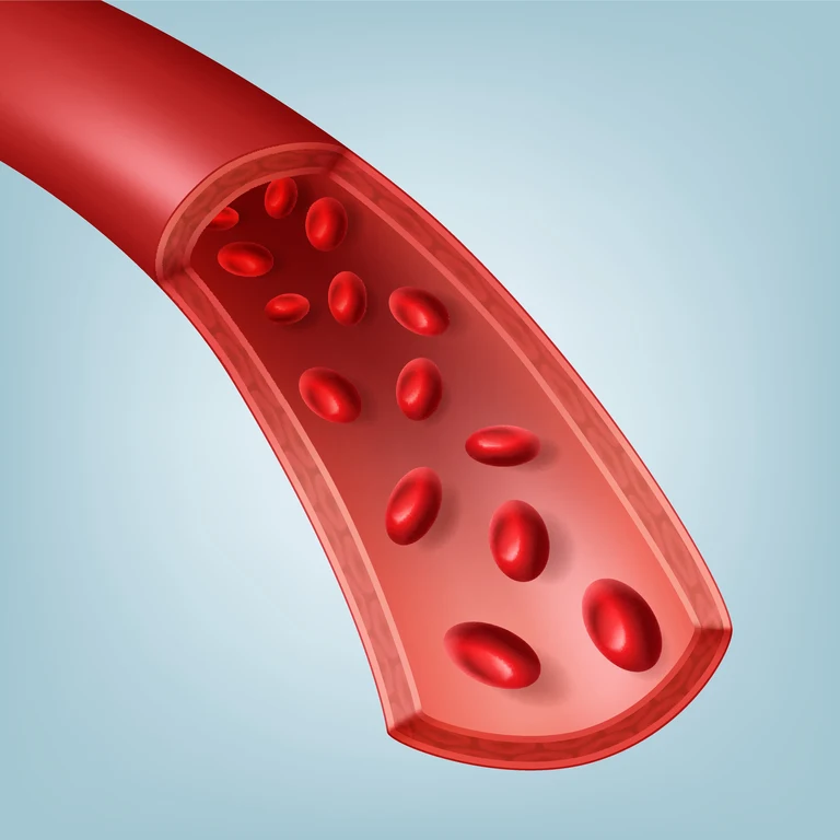 bloodvessel_COLOURBOX32618950_cb_ID32618950.jpg